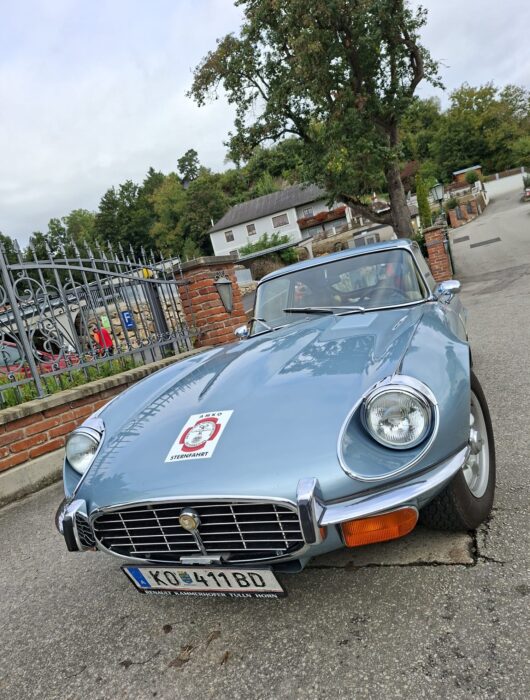 d9275309-1d4d-49d0-94dc-8f1896e9494b