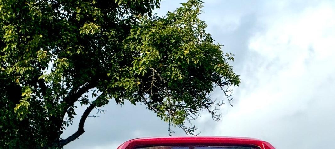 e612ed2c-f592-4506-b41a-0dc6f3828886